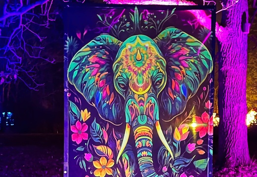 05. Dez. Christmas Garden